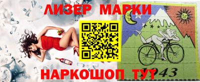 крисы Краснодар