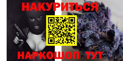 крисы Краснодар