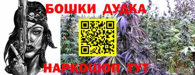 крисы Краснодар